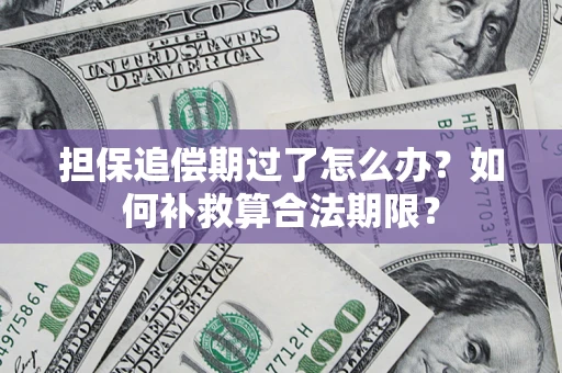 北京担保追偿期过了怎么办？如何补救算合法期限？