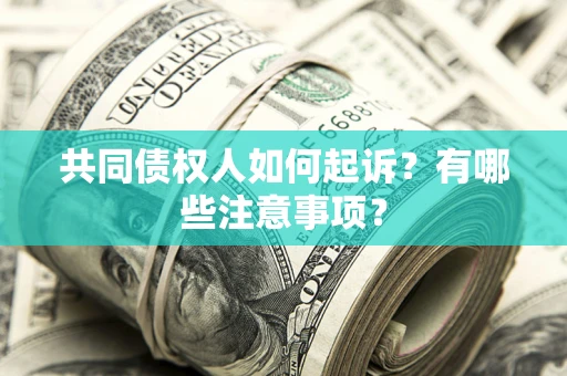 北京共同债权人如何起诉？有哪些注意事项？